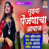 About Tuzya Painjanacha Awaj Song